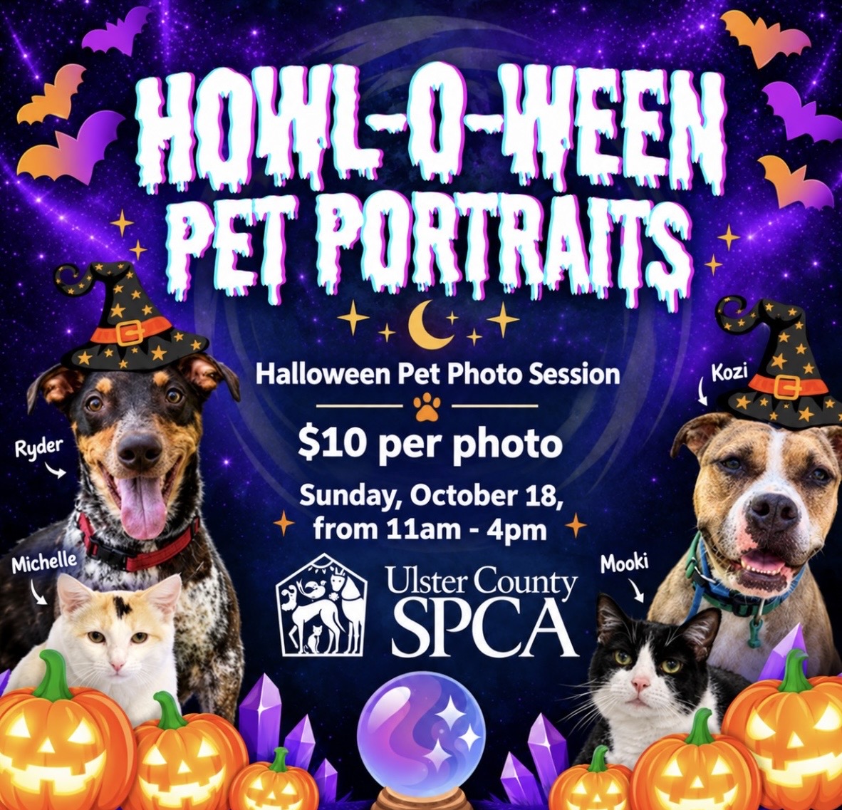 Howl-O-Ween Pet Portraits