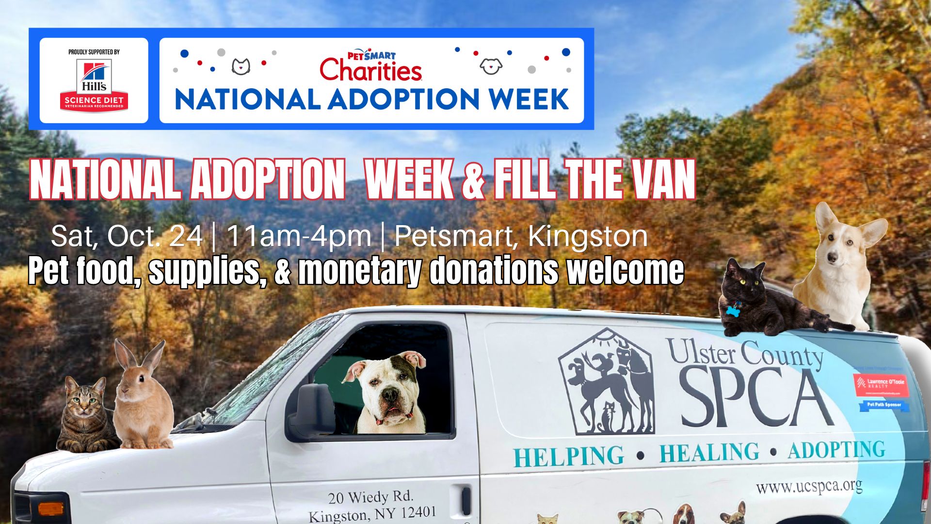 National Adoption Week & Fill The Van Event